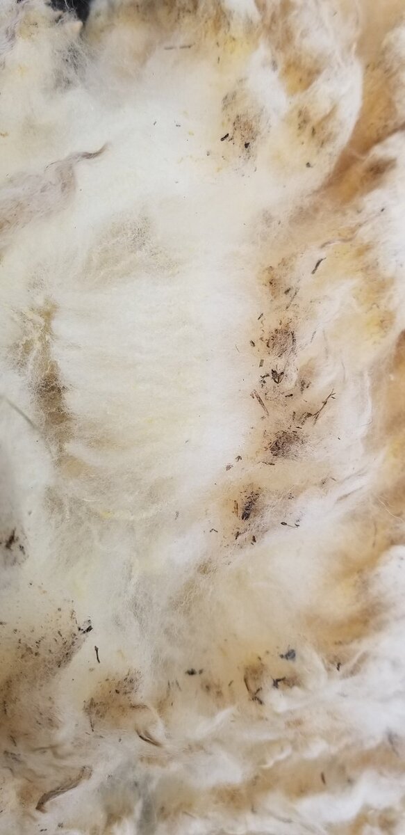 20190424_162246
