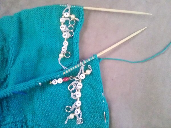 IMG_20230727_123213_6