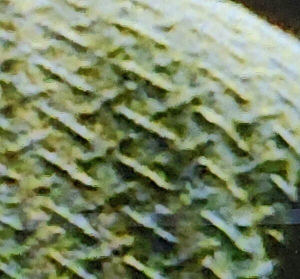 1000011674