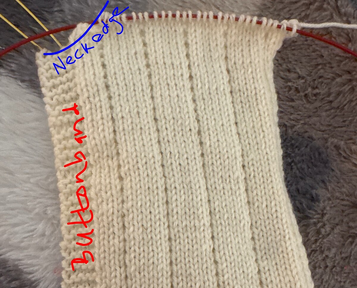 1c8315150440e3ae512799e10d06bd759f1db613_2_1350x1800~2