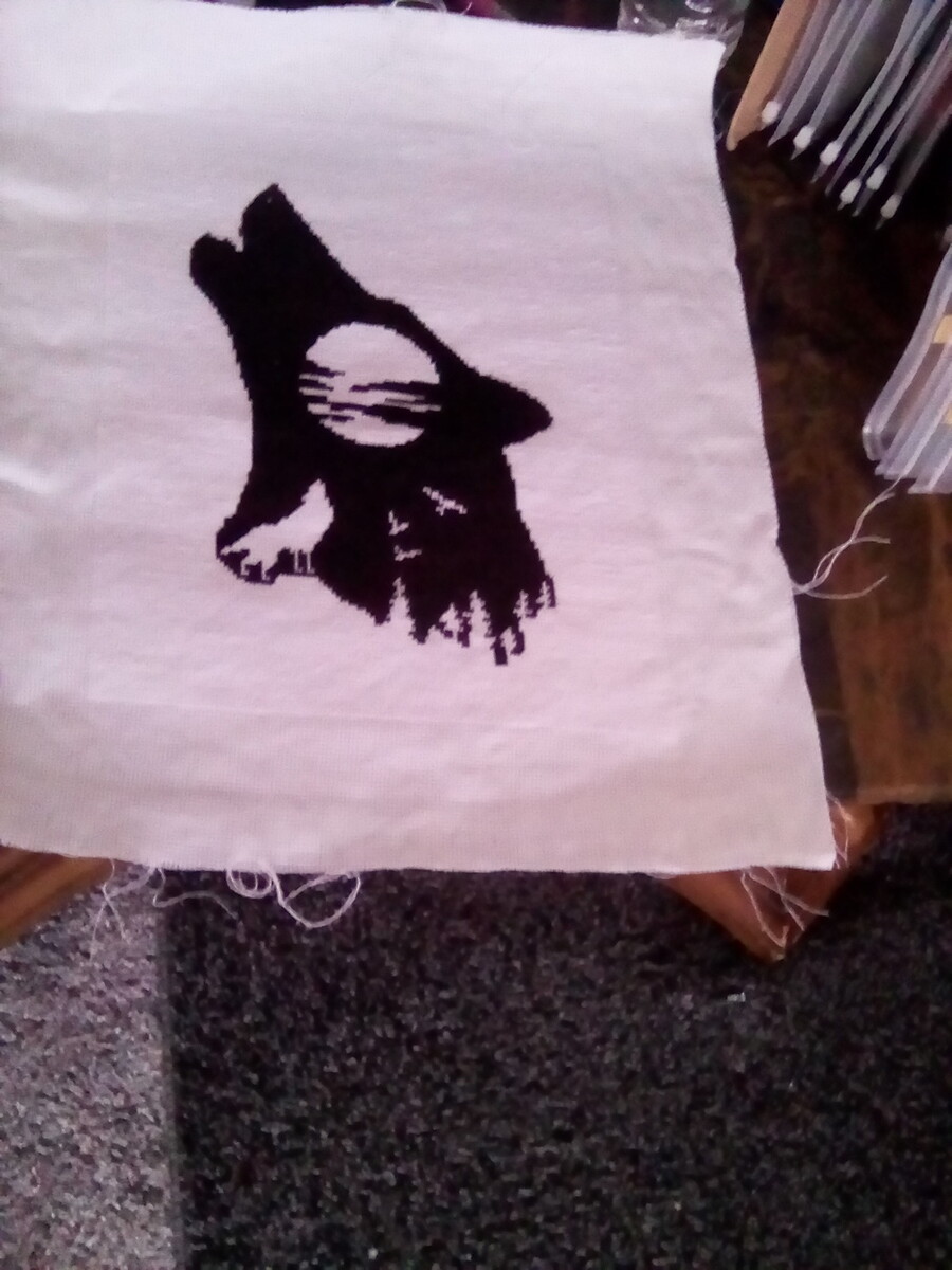 IMG_20240108_114126_3