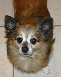 Toby Nov 2021