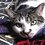 crazycatlady