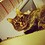 Jaci_Buntin