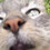 Jamie_Worrell