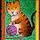katknit