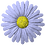 kinuk