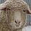 knitncook