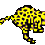 KnittinKitten