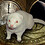 midnightferret