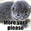 Miss_Kittie