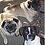 puggies29