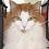 purlwise