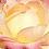 RoseFairy